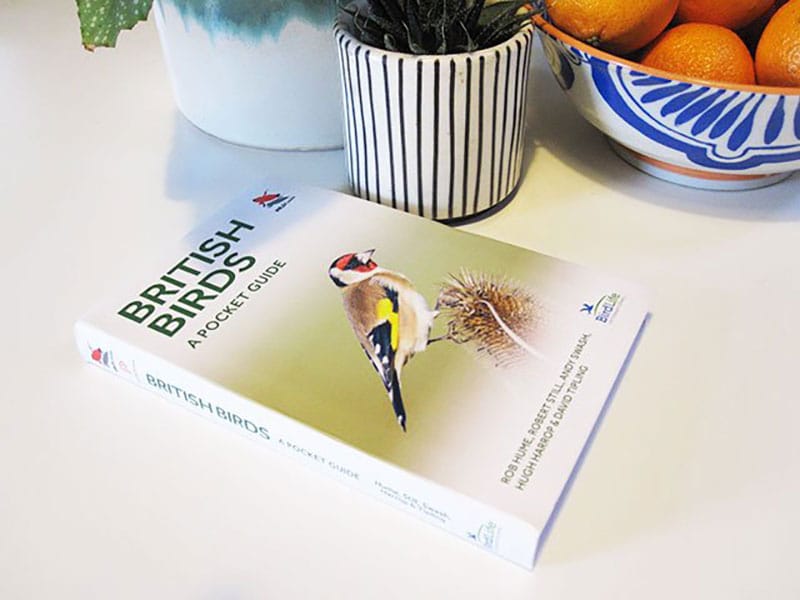 British Birds A Pocket Guide