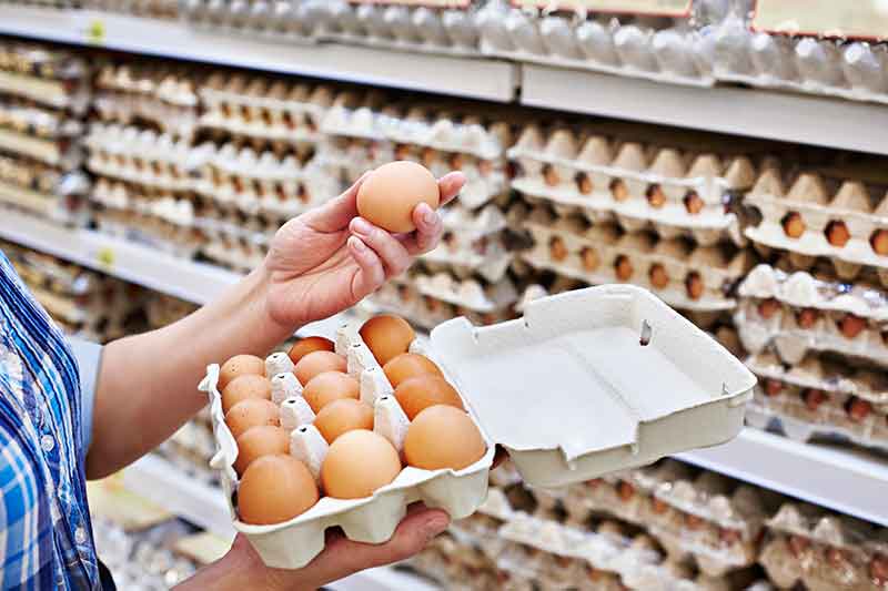 Can You Hatch A Supermarket Egg? | Bird Spot