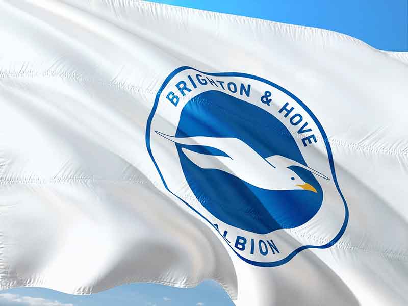 Quiz - English Football Clubs with Bird Nicknames : r/Championship