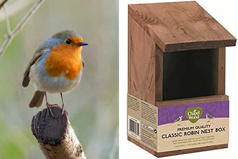 Robin Nest Box