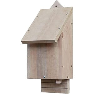 Bat Box