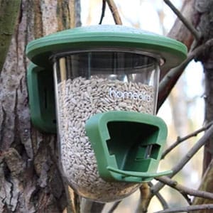 Bird Feeder For Small Birds
