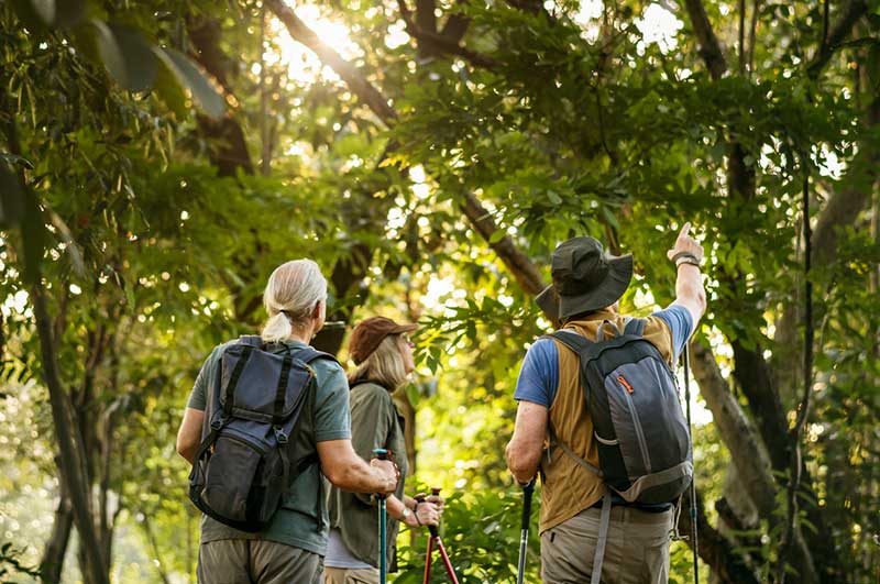 Bird Watchers In Woods