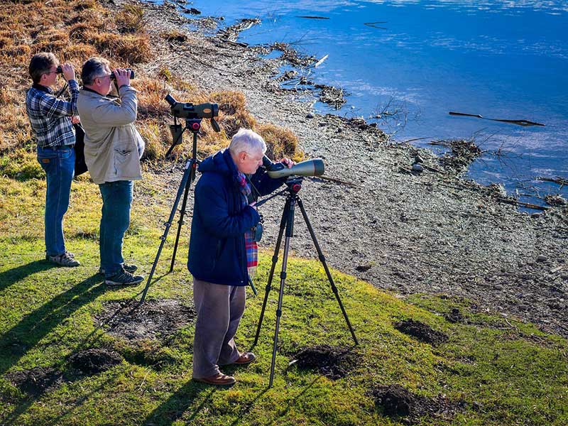 People Bird Watching