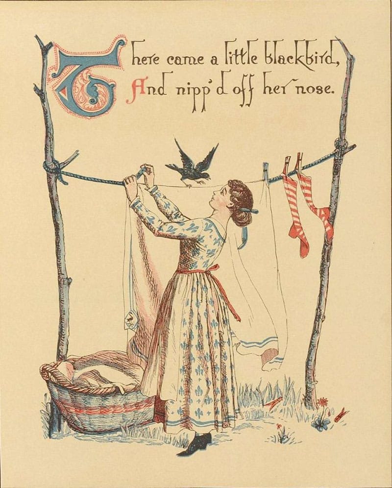 Blackbird Pecking The Maid's Nose