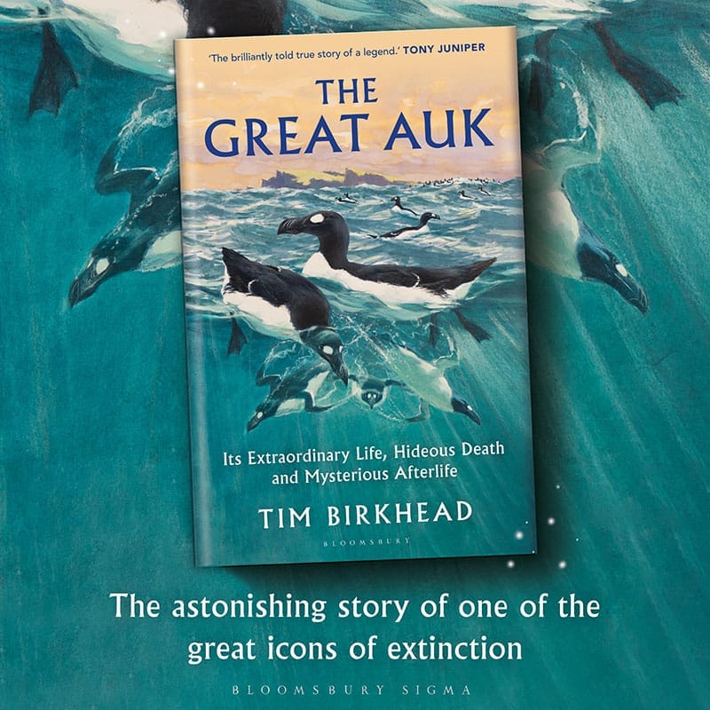 Great Auk Book