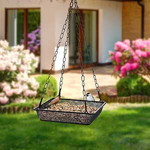 Hanging Seed Tray