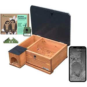 Hedgehog House With Camera