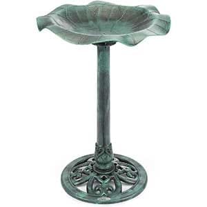 Leaf Edged Bird Bath