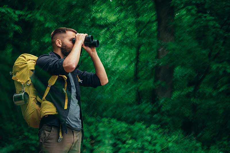 Man Bird Watching In A Forest
