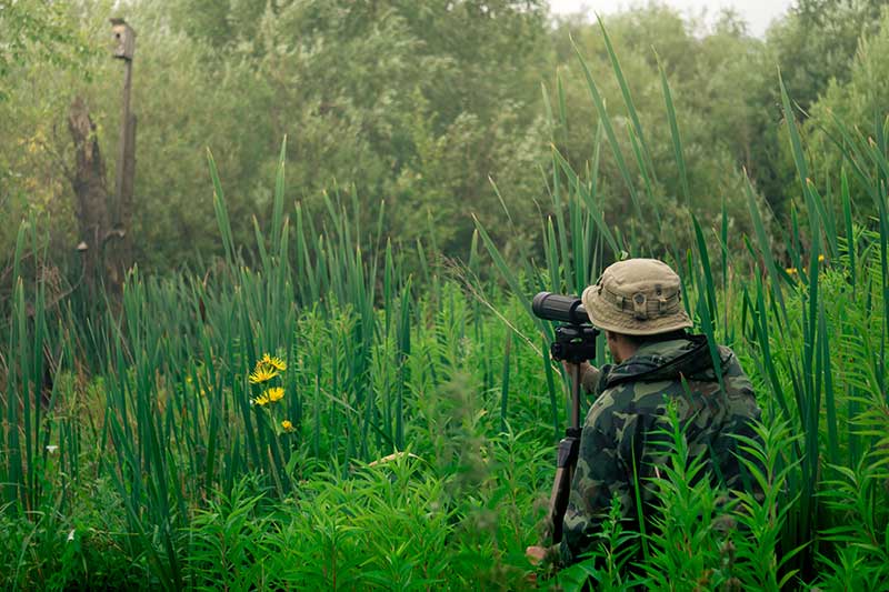 Man Using Spotting Scope