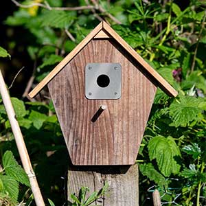Nest Box Plates