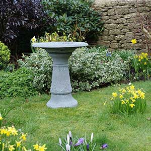 Bird Bath With Tall Stem