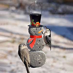 Snowman Bird Feeder