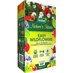 Wildflower Seeds