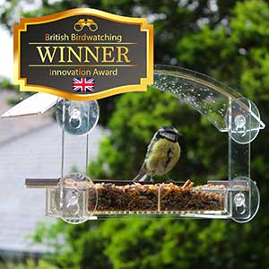Window Bird Feeder