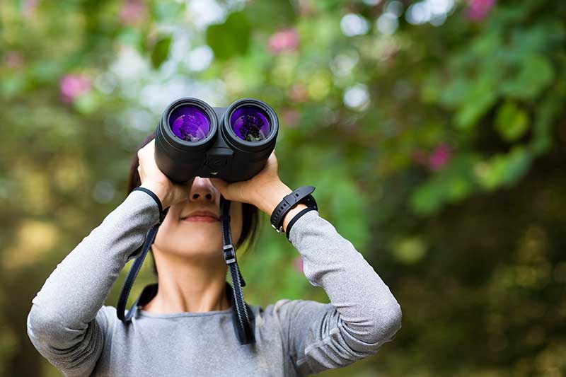 Woman Looking Through Binoculars
