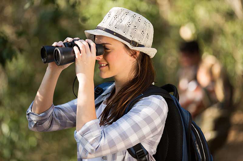 Woman Bird Watching