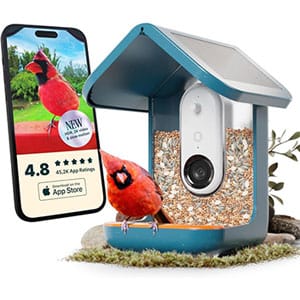 Bird Buddy Pro