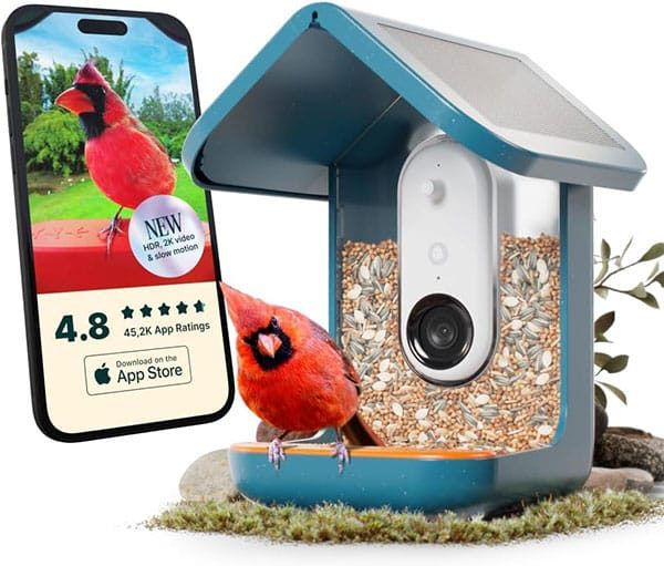 Bird Buddy Smart Solar Bird Feeder