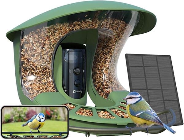 Birdfy Smart Solar Bird Feeder