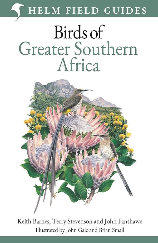 Birds Of Greater Southern Africa