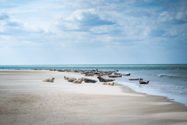 Blakeney Point