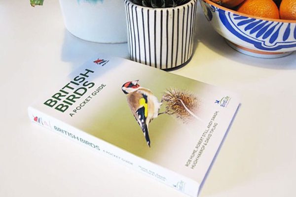 British Birds A Pocket Guide