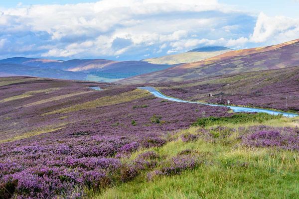 The Cairngorms
