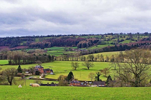 Derbyshire