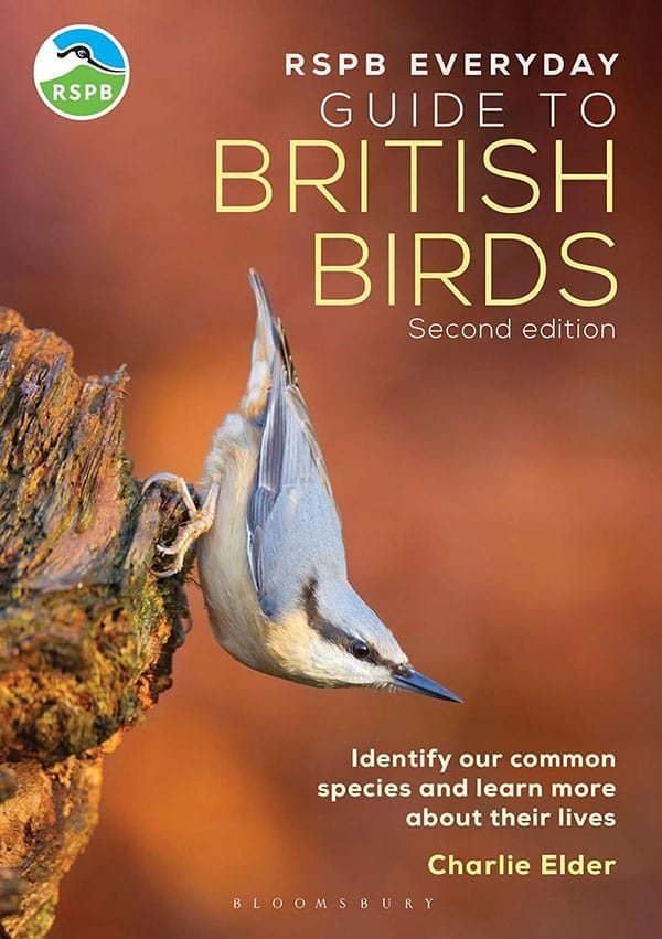 RSPB Everyday Guide To British Birds
