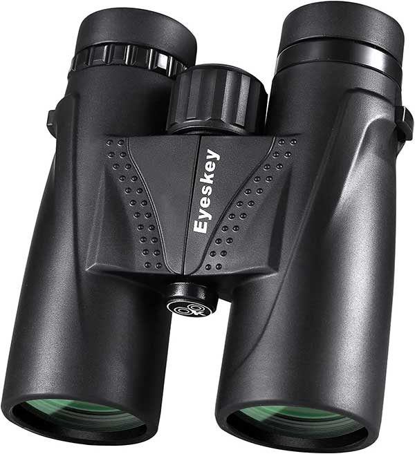 Eyeskey HD 10 x 42 Binoculars