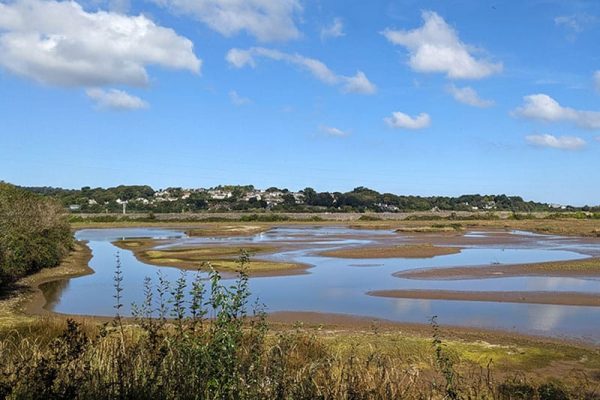 Hayle Estuary