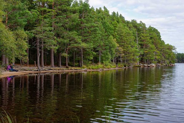 Loch Garten