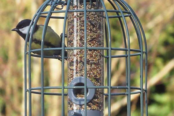The Nuttery Compact Seed Feeder
