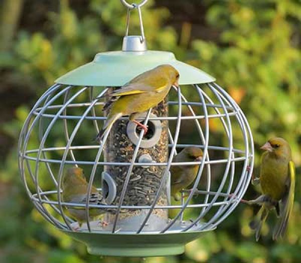 Squirrel-Proof Stainless Steel Bird Feeder – Extra Large, 3-Quart Capacity, For Songbirds