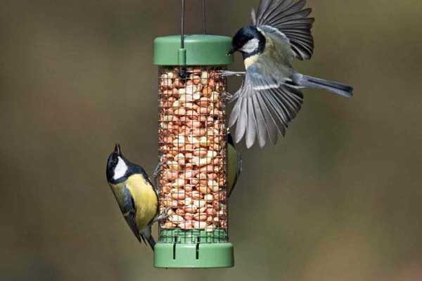RSPB Bird Food